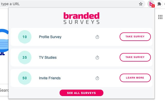 Branded Surveys Review