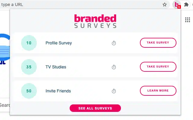 Branded Surveys Review