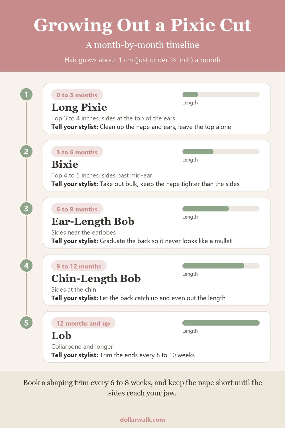 Timeline chart showing how to grow out a pixie cut month by month, from long pixie to bixie, ear-length bob, chin-length bob and lob